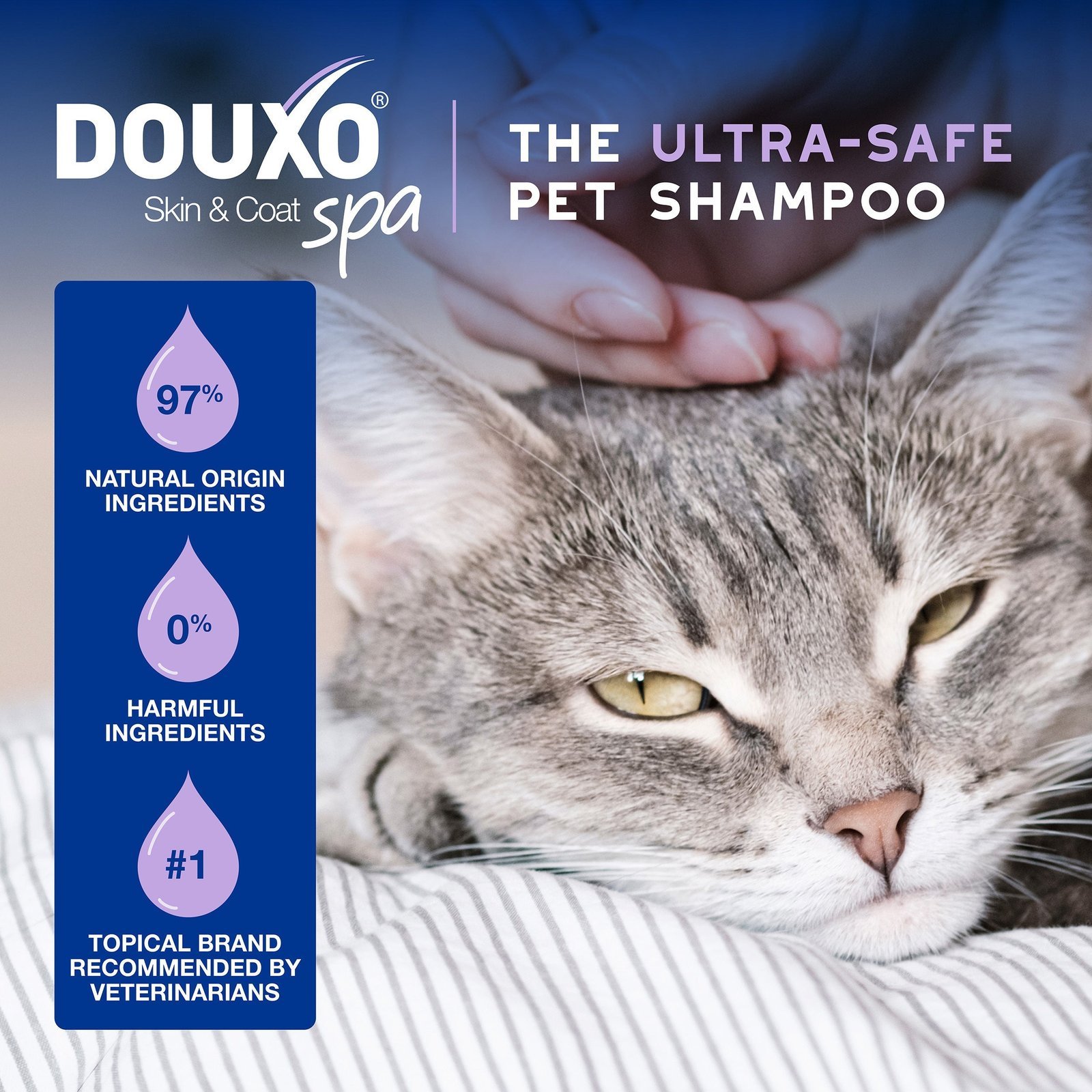 DOUXO Skin & Coat SPA Low stress Refresh Leave on Mousse & Multipurpose Wipes Bundle - Image 5