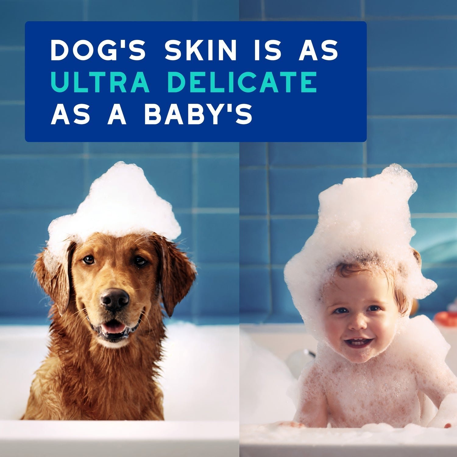 DOUXO Skin & Coat SPA Odor Control Shampoo & DOUXO Skin & Coat SPA Quick Refresh Leave on Mousse Bundle - Image 4