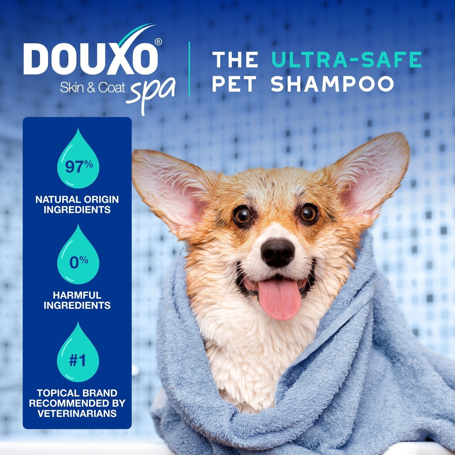 DOUXO Skin & Coat SPA Odor Control Shampoo & DOUXO Skin & Coat SPA Quick Refresh Leave on Mousse Bundle - Image 5