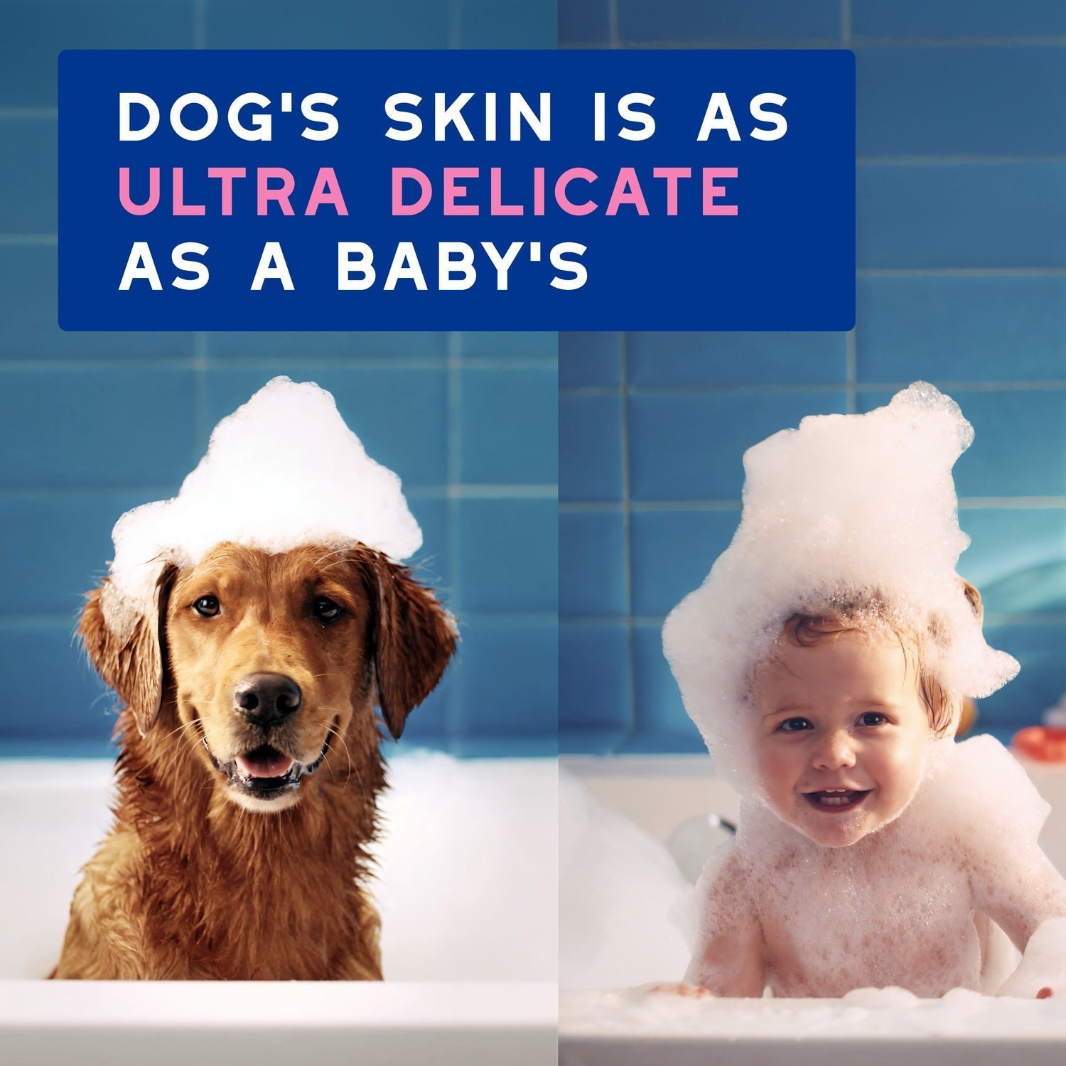 DOUXO Skin & Coat SPA Sensitive skin Soothing Shampoo & Multipurpose Wipes Bundle - Image 4