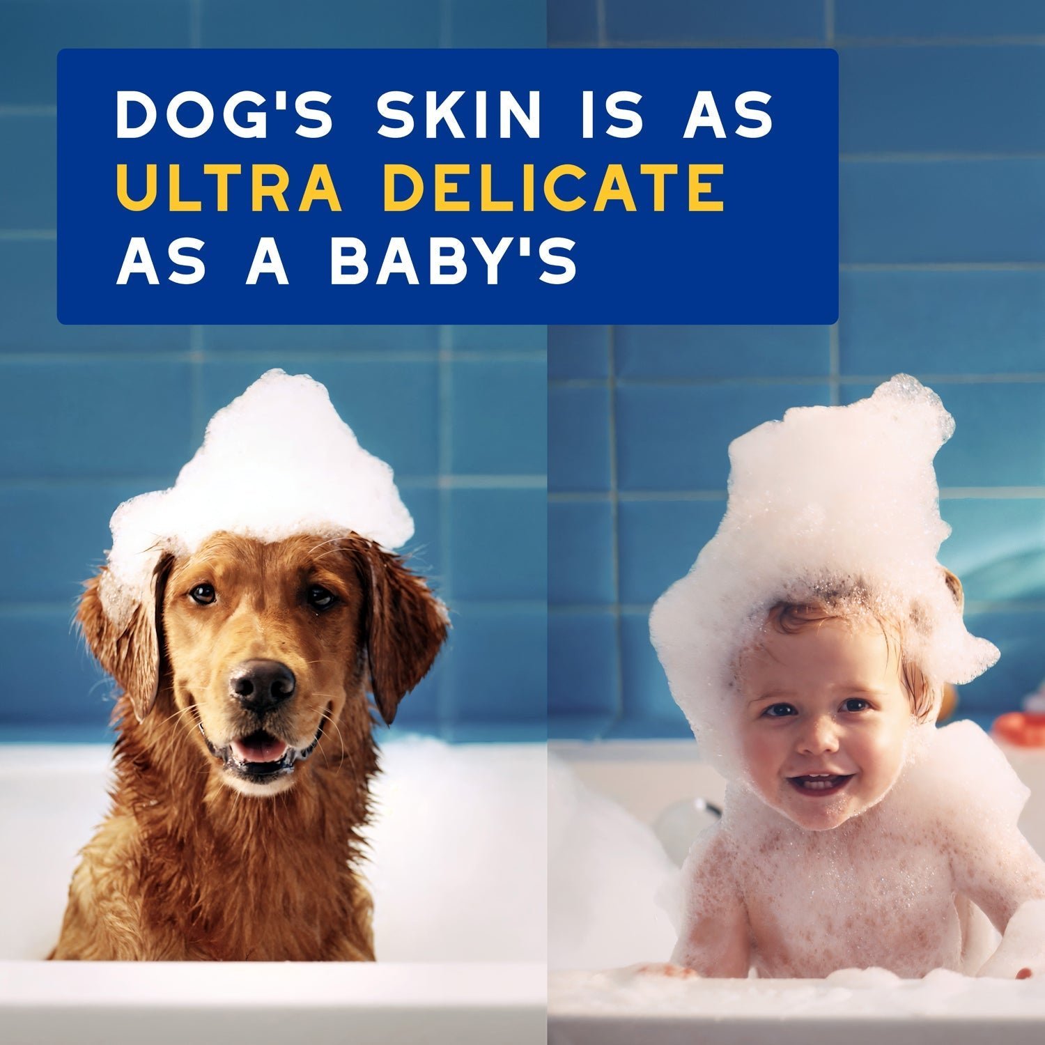 DOUXO Skin & Coat SPA Oatmeal Shampoo & Oatmeal Conditioner Bundle - Image 4