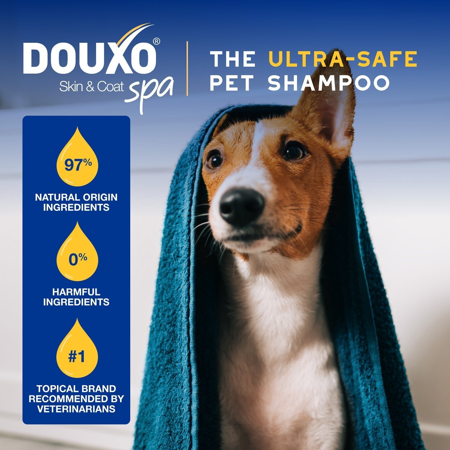 DOUXO Skin & Coat SPA Oatmeal Shampoo & Oatmeal Conditioner Bundle - Image 5
