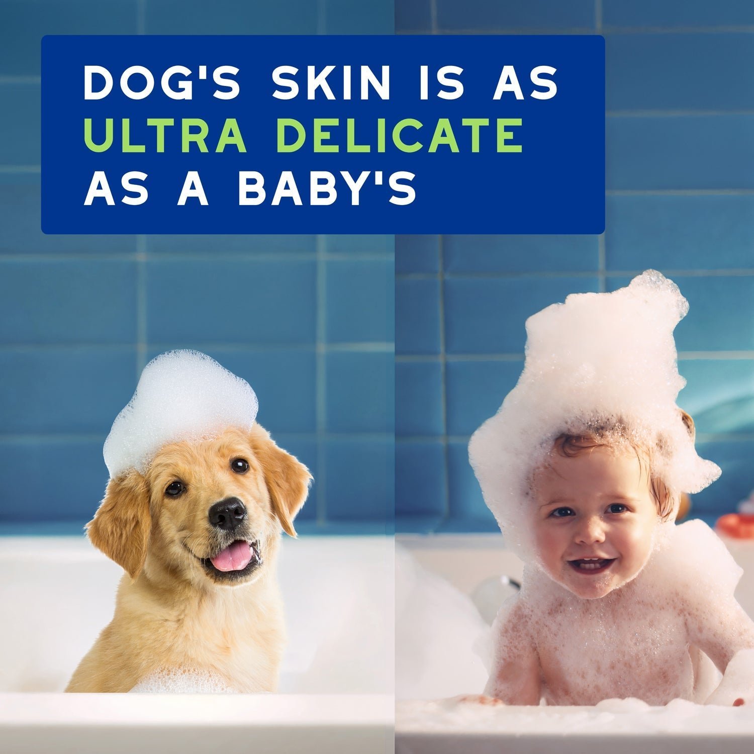 DOUXO Skin & Coat SPA Puppy Shampoo & Multipurpose Wipes Bundle - Image 4