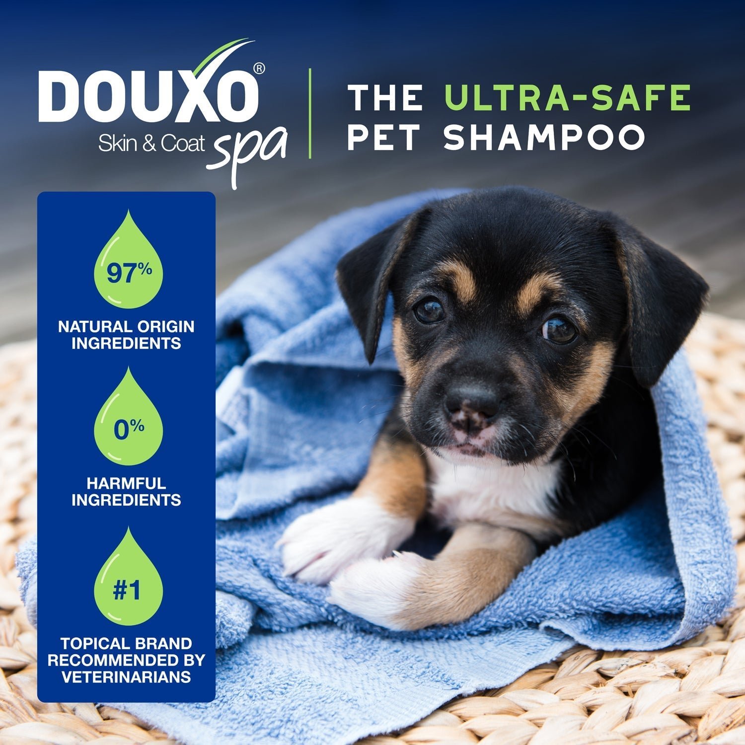 DOUXO Skin & Coat SPA Puppy Shampoo & Multipurpose Wipes Bundle - Image 5