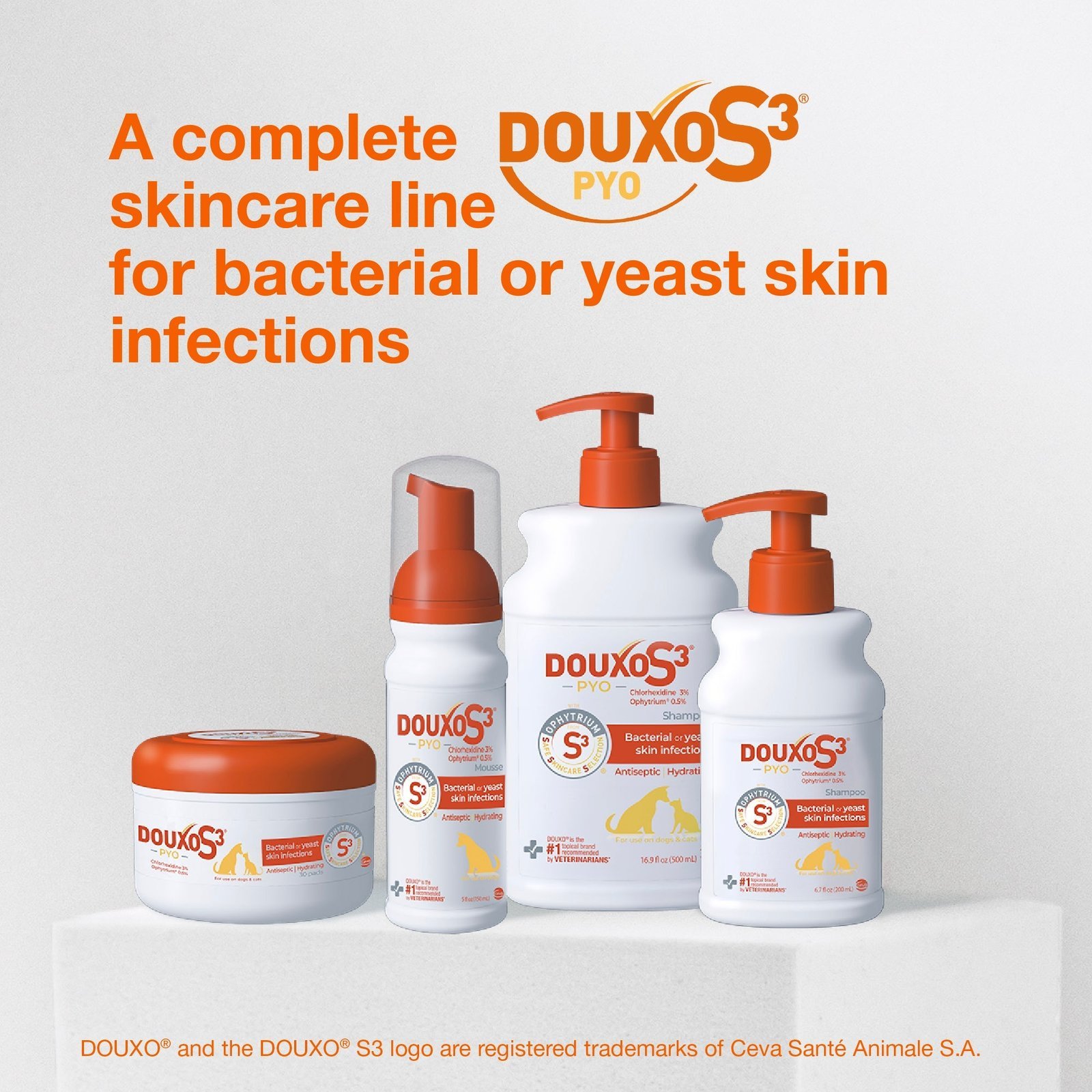 DOUXO S3 PYO Mousse - Image 8