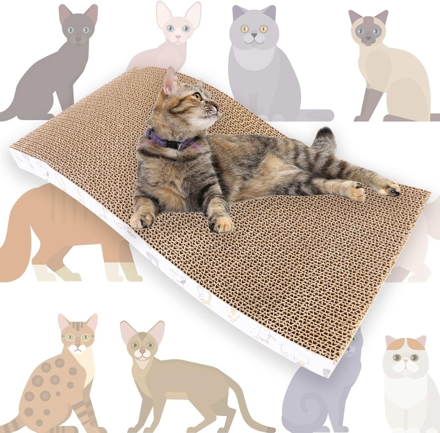Cat Scratcher Pad, 3 Pack - Image 3